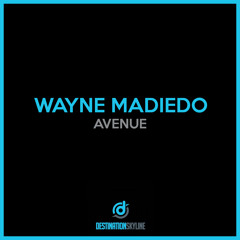 Avenue (Luiz Ramoz Remix)