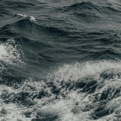 my sea