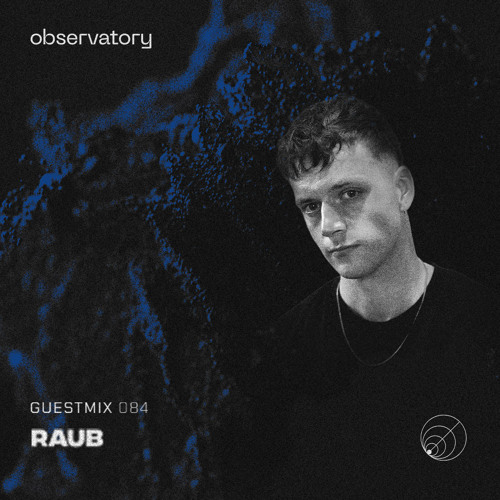 OBSERVATION [084] - RAUB