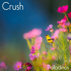 Crush