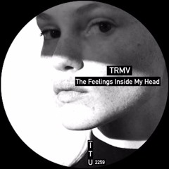 TRMV - The Feelings Inside My Head [ITU2259]