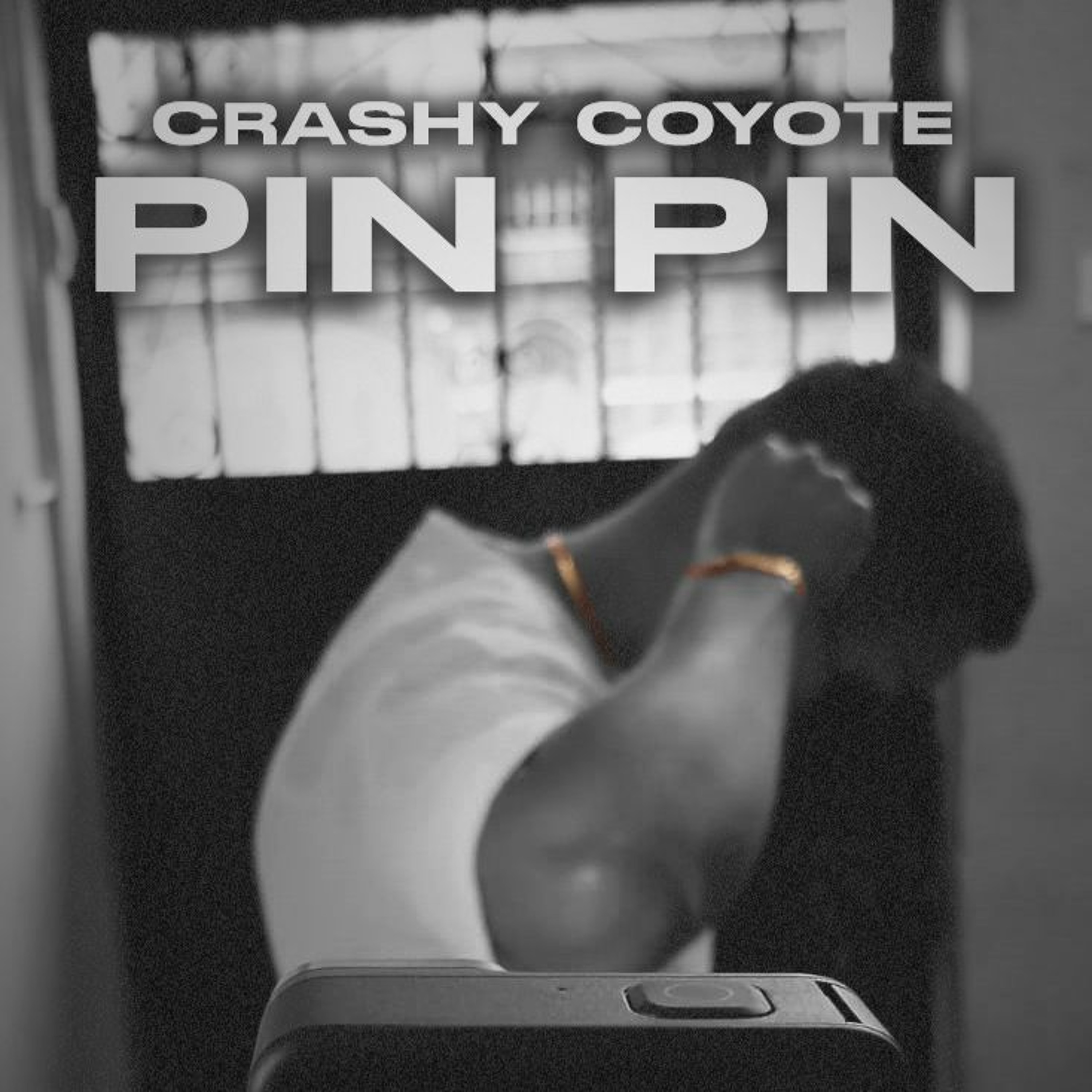 Crashy Coyote