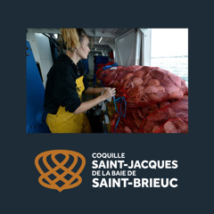 Rencontre avec Aurélie Conort, matelote à bord d'un coquillier en baie de Saint-Brieuc