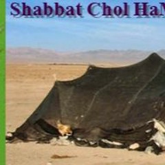Shabbat Chol HaMo’ed Sukkot 5784 - Acqua Da Gerusalemme - Un Tabernacolo Di Gloria Su Gerusalemme