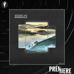 PREMIERE: Different Age - Verdolaga | Polyptych