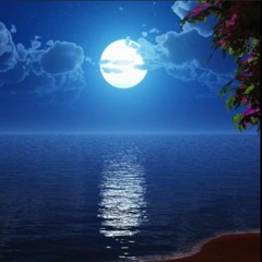 Bleu de Lune cover - Sam Gin (Zoufris Maracas)