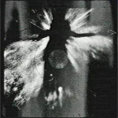 beneath the sepulchral veil