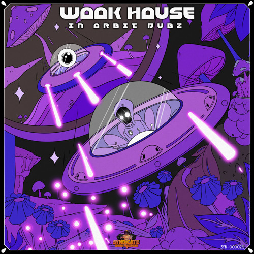 In Orbit Dubz - Wook House