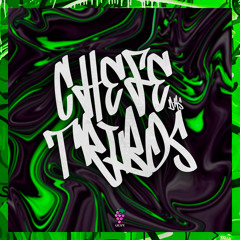 CHEFE DAS TRIBOS