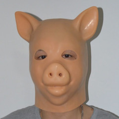 criminal record