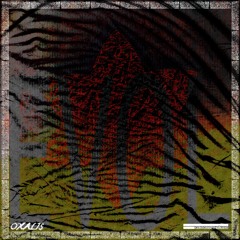 CENSORED THE AUDIO, OXALIS - EVOL (FREE DOWNLOAD)