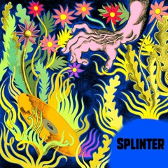 #7 - Splinter