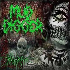 fl4min_xX - CRUNK DIGGER