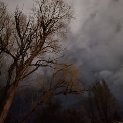 5 minutes ago
