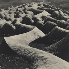 PREMIERE: Mina Lord - Drill To Serve [SUBVERTED]