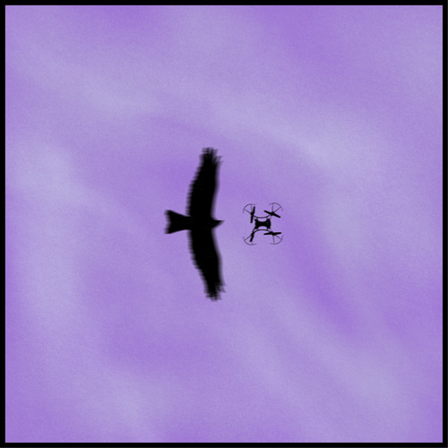 Ti accompagno in zona