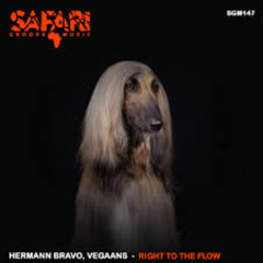 Hermann Bravo, Vegaans - Right To The Flow (Original Mix)
