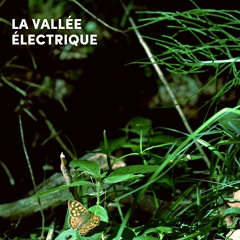 La Vallée Électrique 2022 • Saïph (Live Extract)
