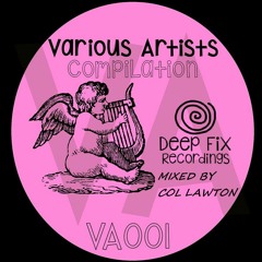 Deep Fix Recordings Summer VA Vol. 1 (mixed by Col Lawton)