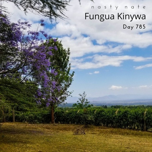 n a s t y  n a t e - Fungua Kinywa. Day 785 - PROGRESSIVE + TECH HOUSE