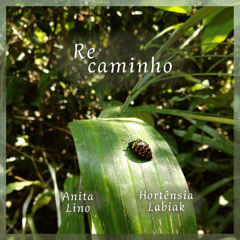 Re-Caminho