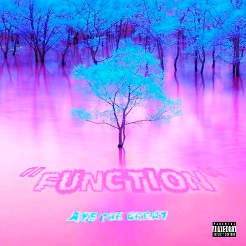 Function