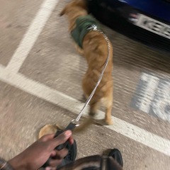 margiela zipup @triplecuup