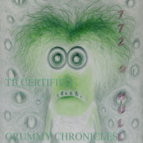 gangstalked 2 hell : TestTrack