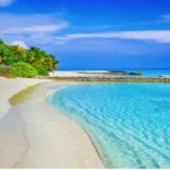 Another Day in Paradise- The Laloo Brothers (Chin & Shri) feat Gully Mon