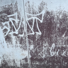 desolaté [ + arschy ]