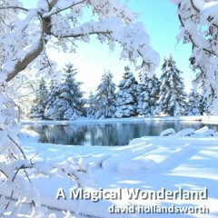 A Magical Wonderland