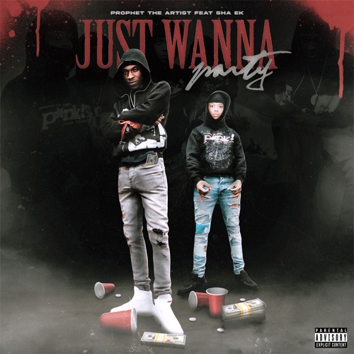 Just Wanna Party (Feat. Sha EK)