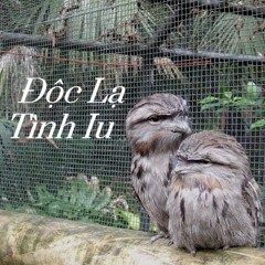 Doc La Tinh Yeu (0 1 5)