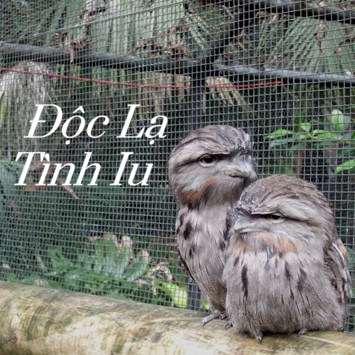 Doc La Tinh Yeu (0 1 5)