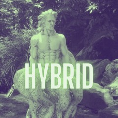Hybrid Instrumental
