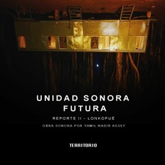 Unidad Sonora Futura - Reporte 2 - Lonkopué por Yamil Nadir Asseff