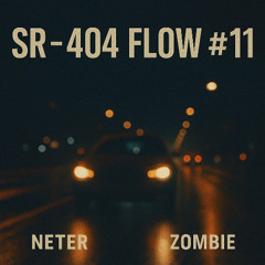 SR - 404 FLOW #11