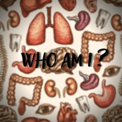 AVENTAL X CLEAN - WHO AM I? [FREE]