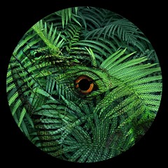 Jungle Jim (Ash-R Remix)