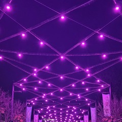 TAUS VOCAL - Ki Nadroga