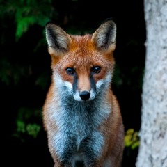 That Feeling [FREE DL]