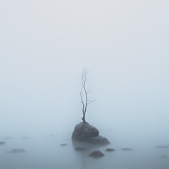 Dirge for The Dream