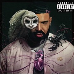 Drake feat. Roddy Ricch - In The Cut 🦉