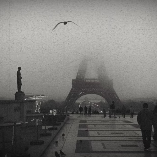 Real Lover Not a Fool