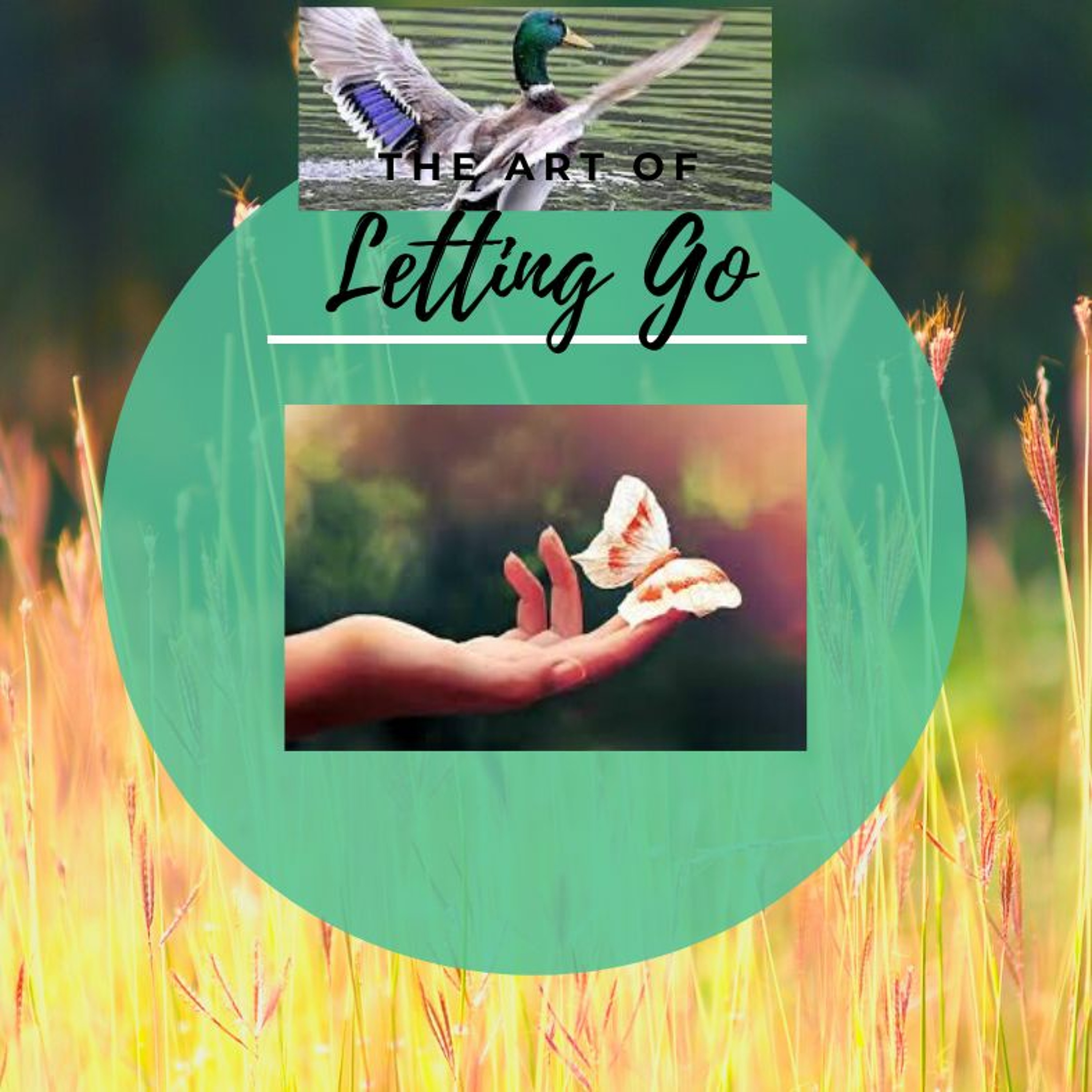Fit Within, All About The Mind - The Art Of Letting Go episode artwork