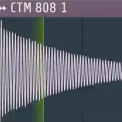 Best of CTM 808