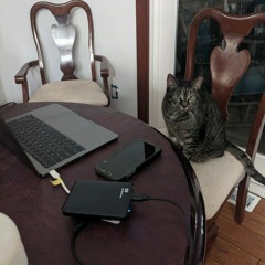 BizBaz Birthday Nu Disco!