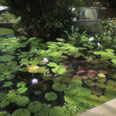 hints of winter (mix)