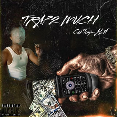 Puffin on Zooties Trap Mix