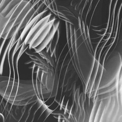 Wild Winds